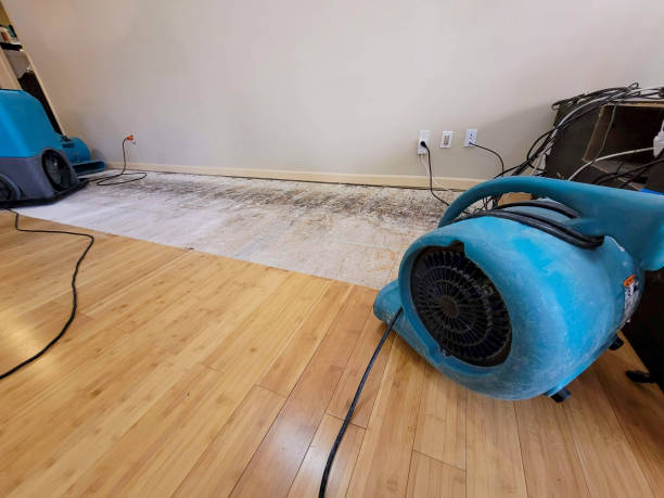 Professional Water Removal technician working in West Union, IA